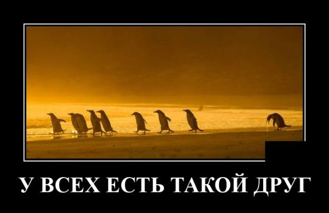 Демотиваторы вторника (20 фото)