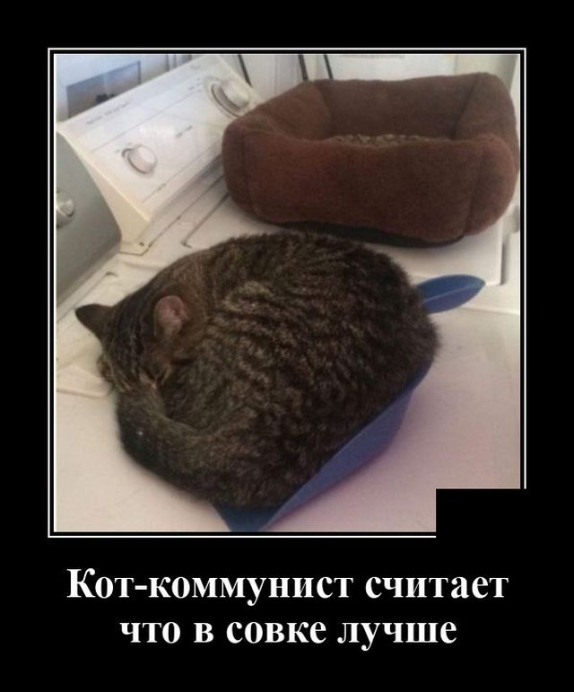 Демотиваторы вторника (20 фото)