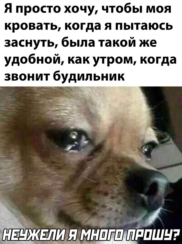 Прикольные картинки из сети (30 фото)