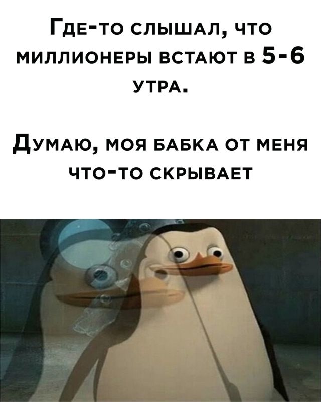 Прикольные картинки из сети (30 фото)