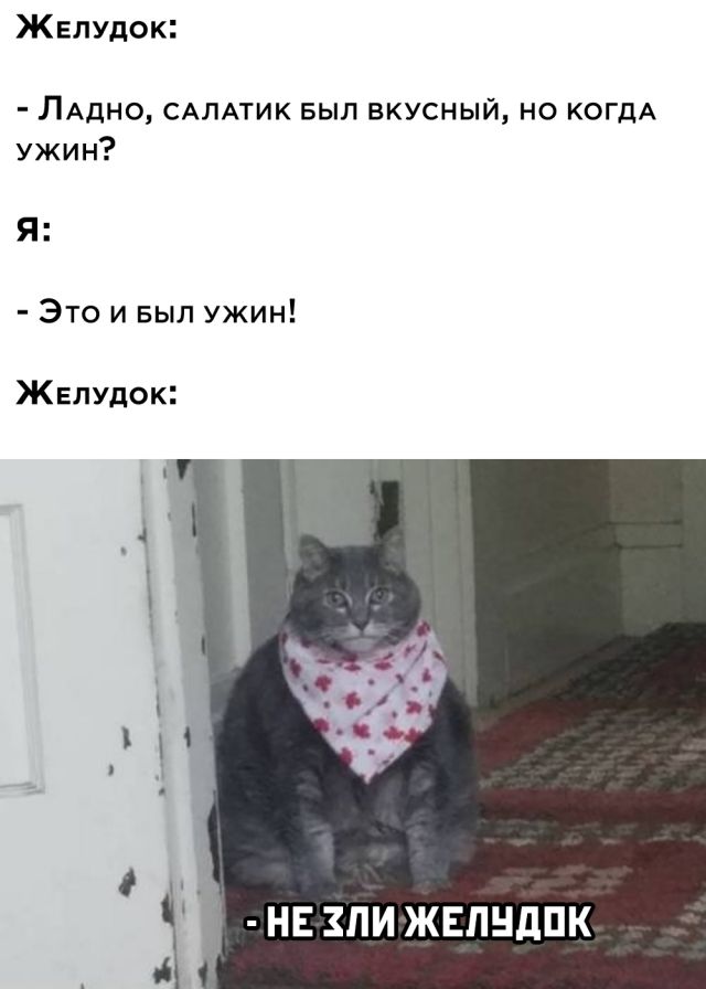 Прикольные картинки из сети (30 фото)