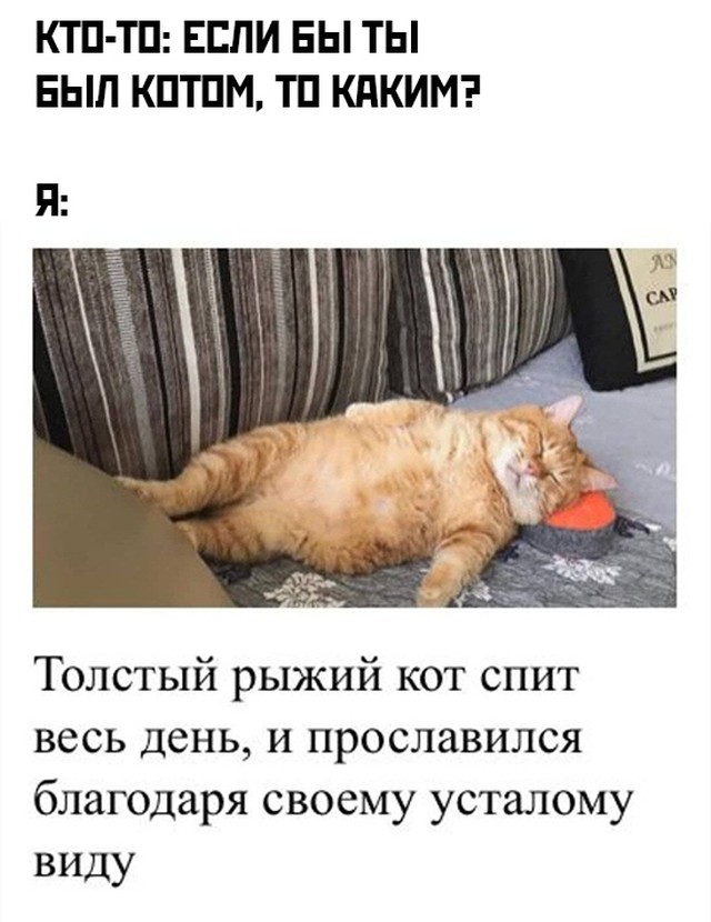 Свежие приколы из сети (30 фото)