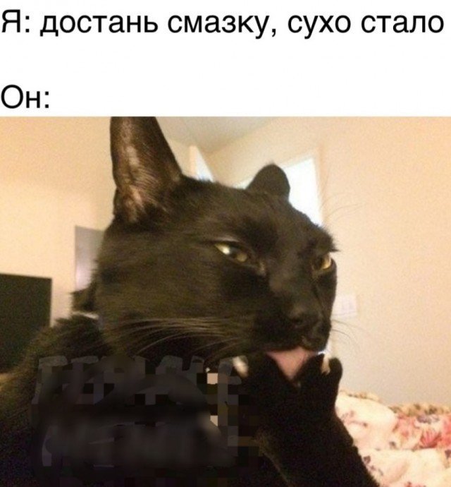 !     (25 )