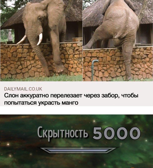 ����������! ���������� �������� �� ���� (20 ����)