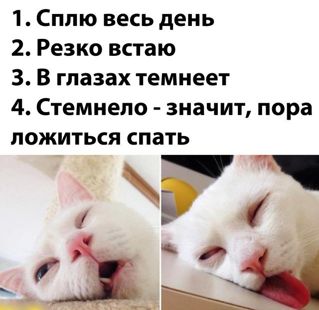 ����������! ���������� �������� �� ���� (20 ����)