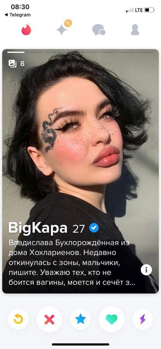     Tinder (15 )