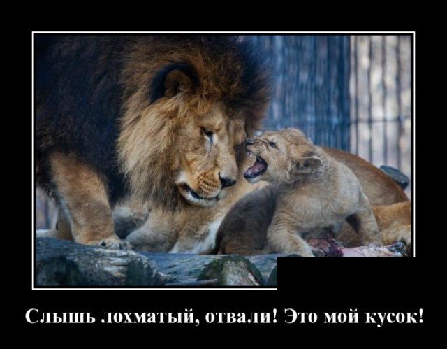 Демотиваторы пятницы (20 фото)