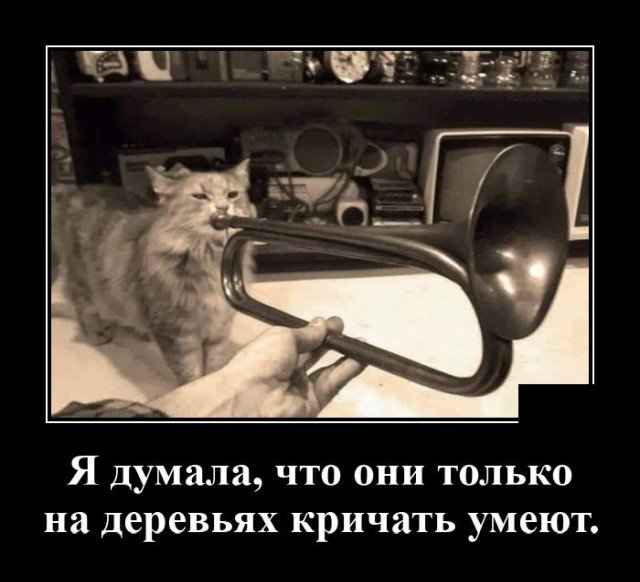 Демотиваторы пятницы (20 фото)