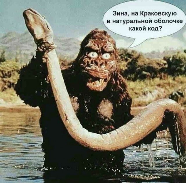 ������� ��� ������� ���������� (15 ����)