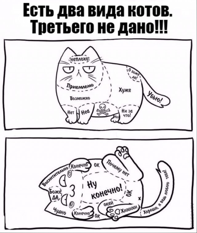 ������� ��� ������� ���������� (15 ����)