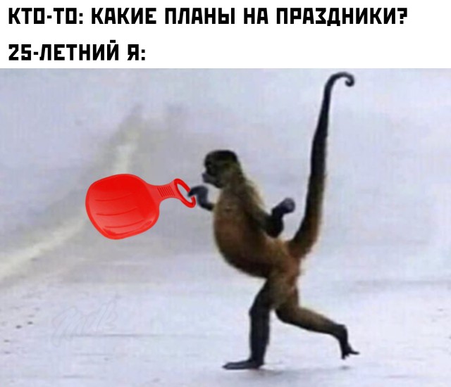 ������� ��� ������� ���������� (15 ����)