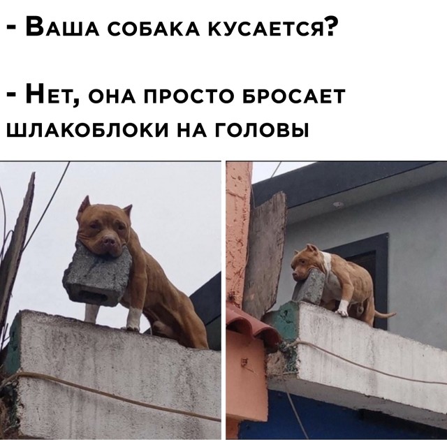 Подборка отличных картинок среды (30 фото)