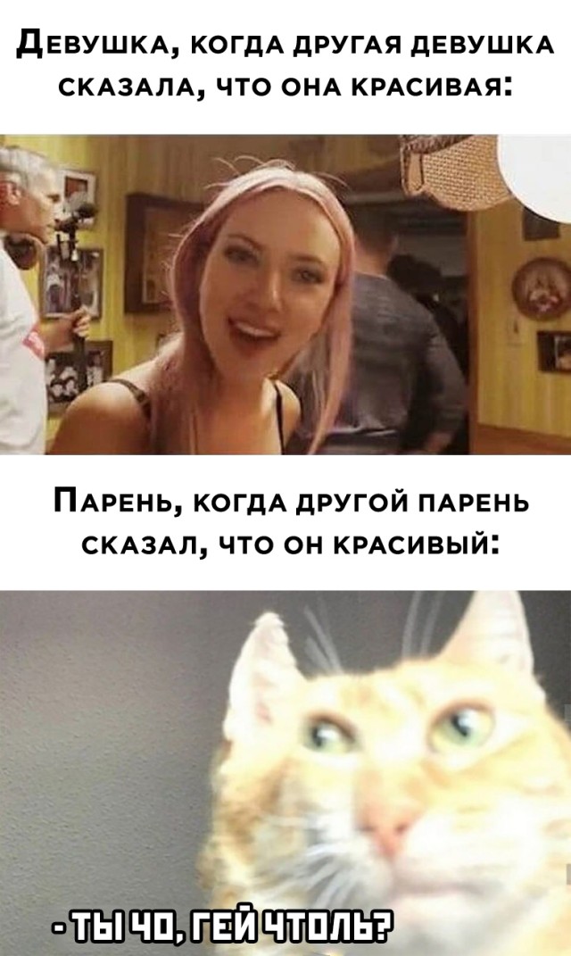 Подборка отличных картинок среды (30 фото)