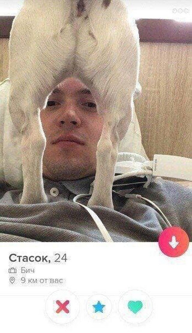    Tinder (14 )