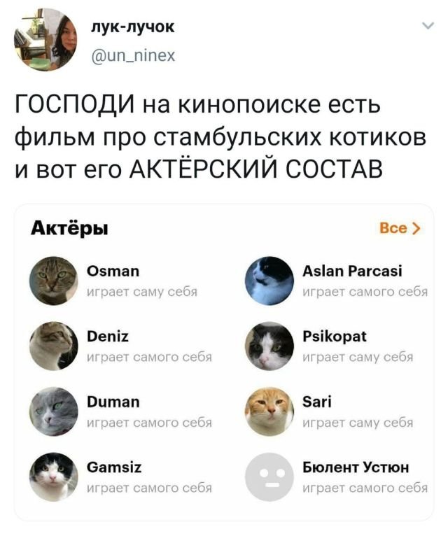 ТОПовые твиты (30 фото)