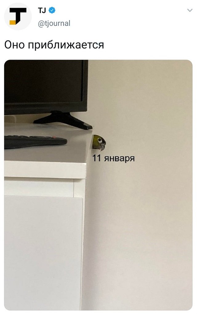 ТОПовые твиты (30 фото)