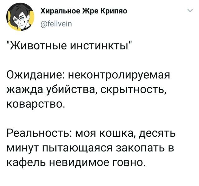 ТОПовые твиты (30 фото)