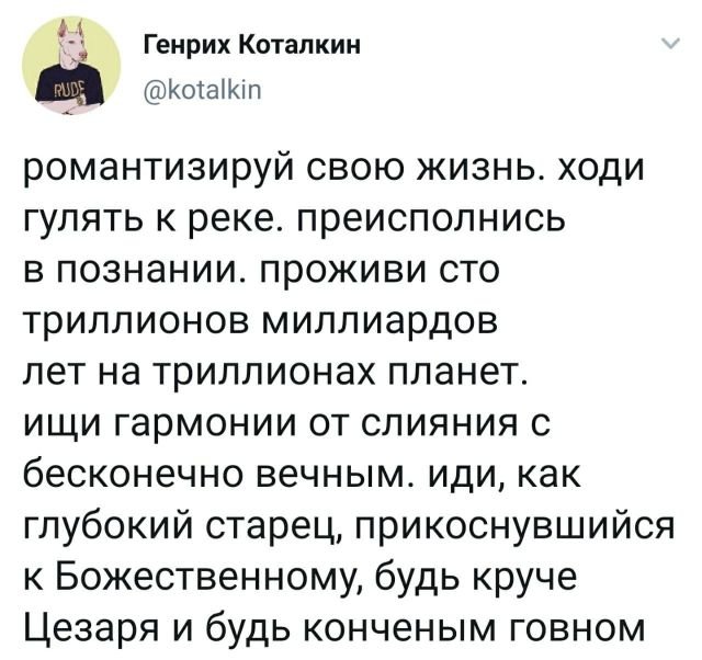 ТОПовые твиты (30 фото)