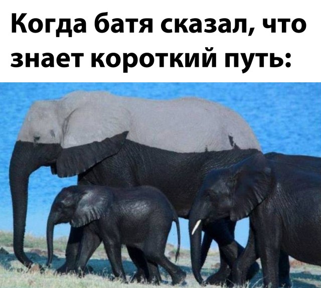 Свежак! Приколы понедельника (30 фото)