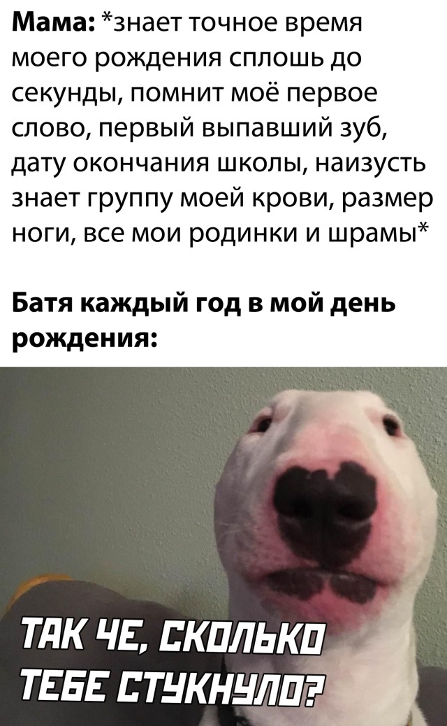 Свежак! Приколы понедельника (30 фото)