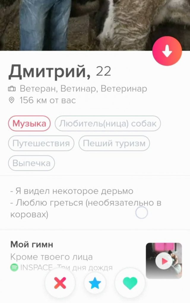 И снова эти анкеты из Tinder (15 фото)