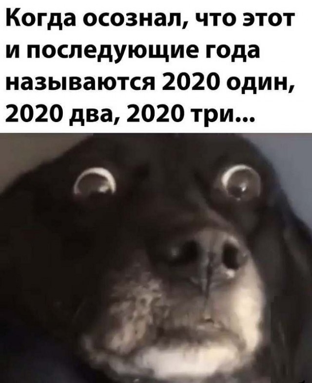 Свежие приколюхи из сети (30 фото)