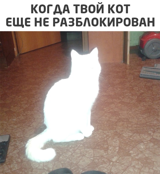 Свежие приколюхи из сети (30 фото)