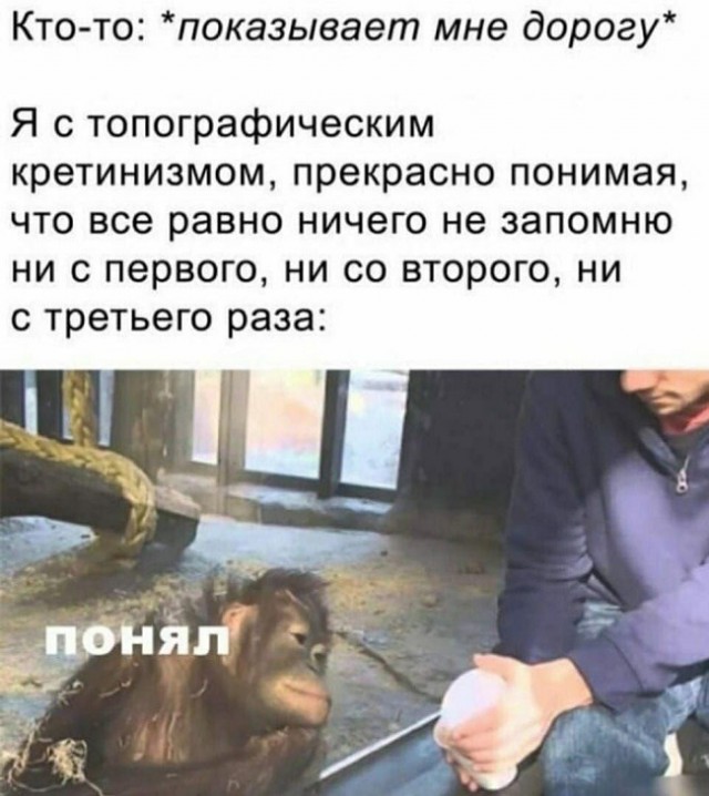 Свежие приколюхи из сети (30 фото)