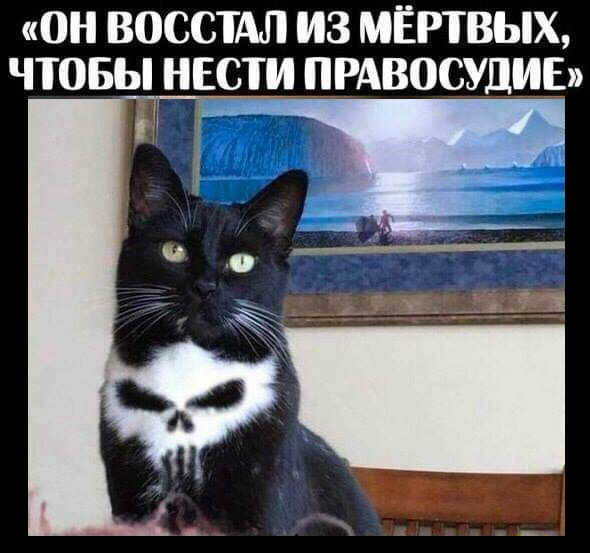 Свежие приколюхи из сети (30 фото)