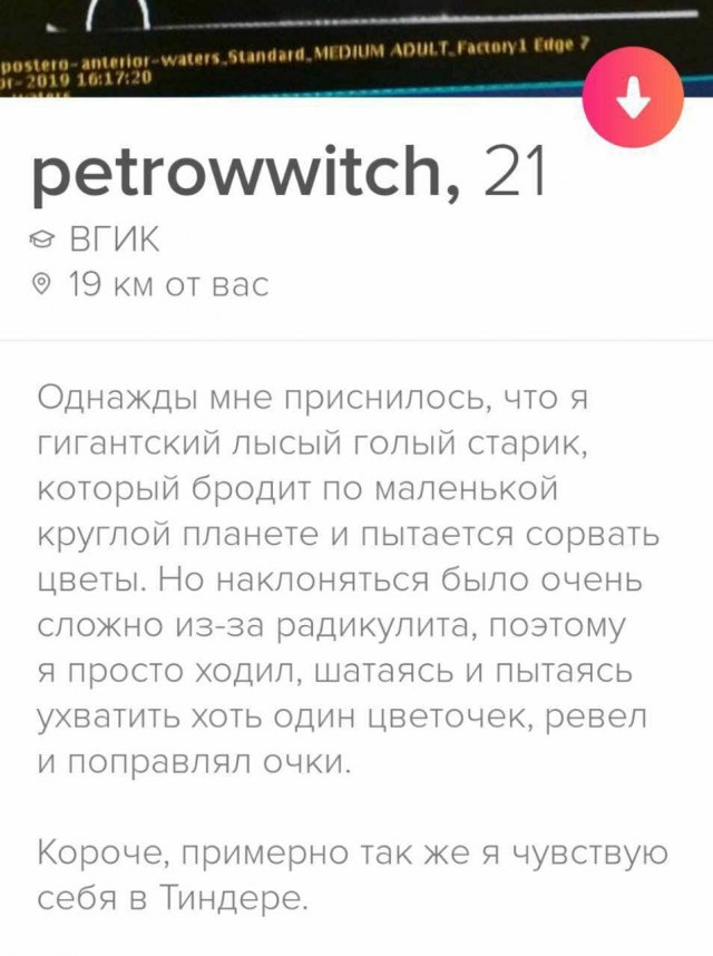    Tinder (15 )