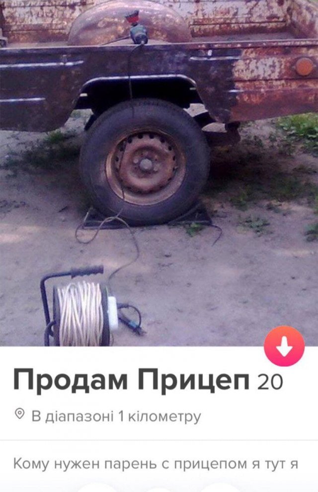   Tinder (14 )