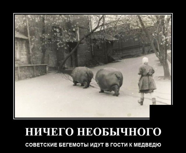 ������������ �������� (20 ����)