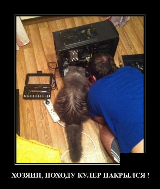 ������������ �������� (20 ����)