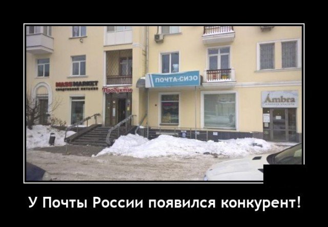 ������������ �������� (20 ����)