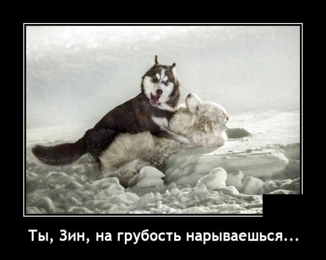 ������������ �������� (20 ����)