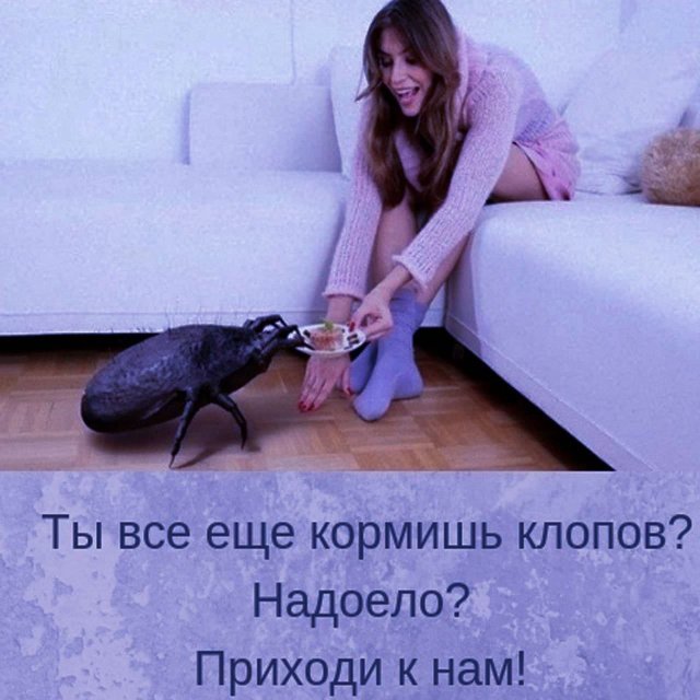 ��������� ������������� (14 ����)
