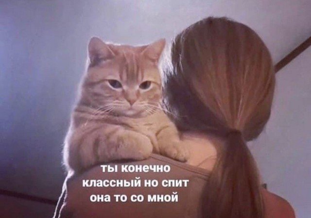 Свежие мемы и приколы (15 фото)