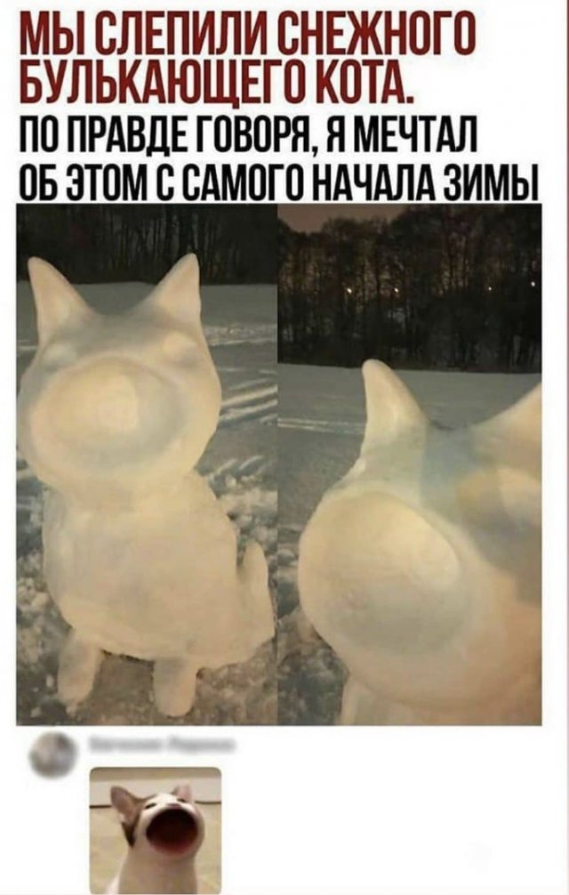 Свежие мемы и приколы (15 фото)