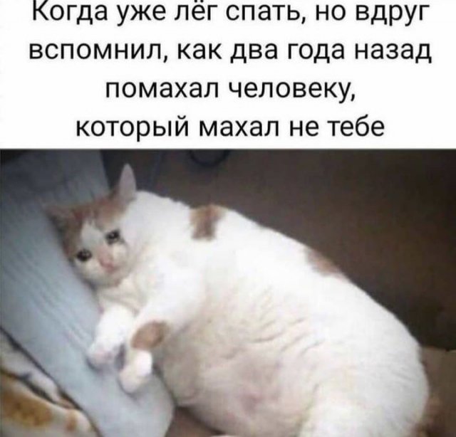 Свежие мемы и приколы (15 фото)