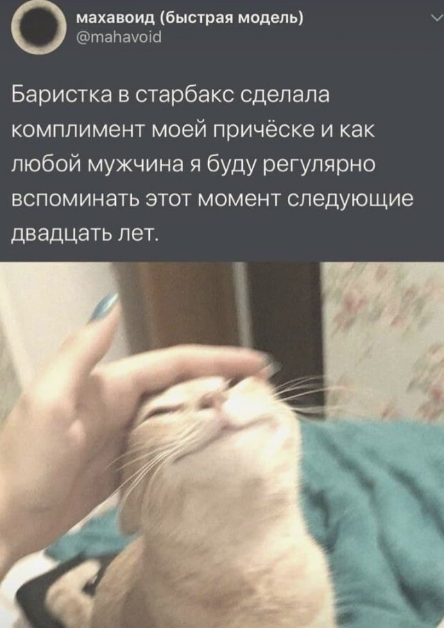 Свежие мемы и приколы (15 фото)