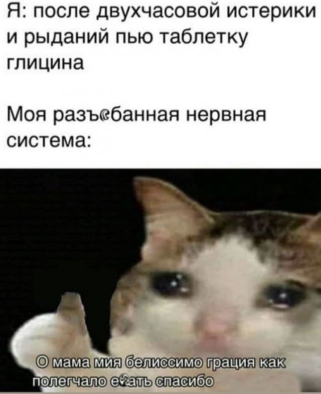 Свежие мемы и приколы (15 фото)