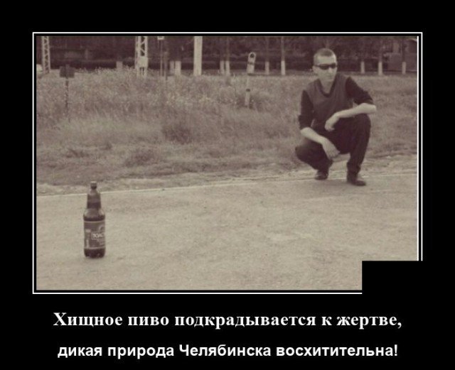 Демотиваторы четверга (20 фото)