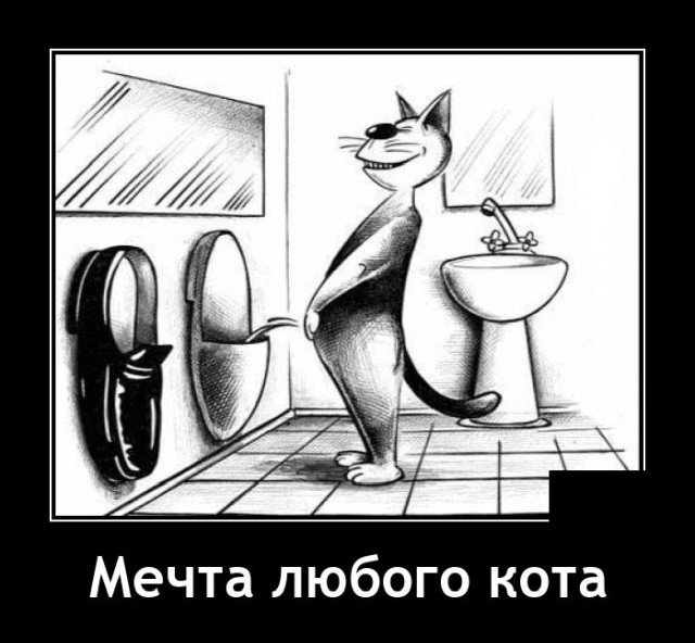 Демотиваторы четверга (20 фото)