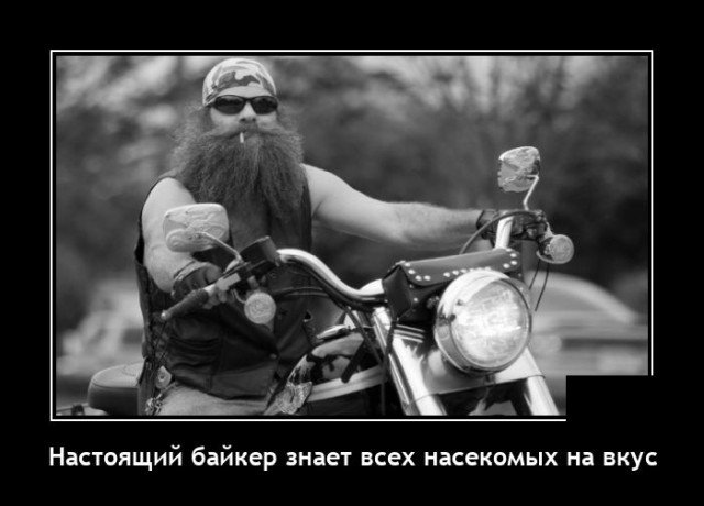 Демотиваторы пятницы (20 фото)