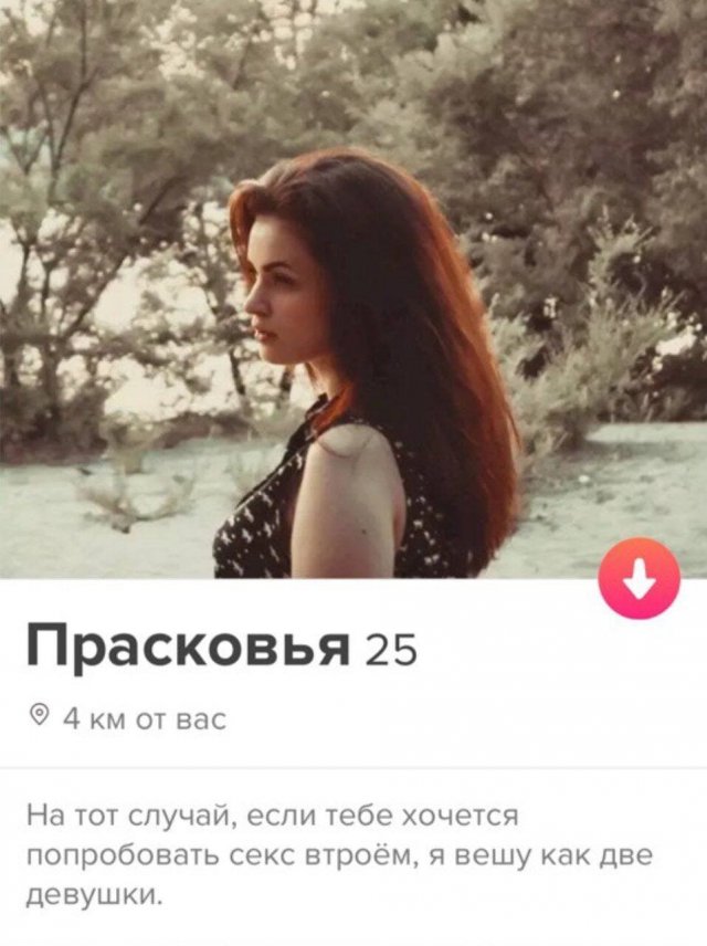   Tinder (15 )