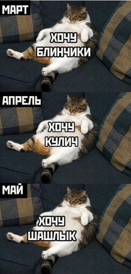 После Масленицы (15 фото)