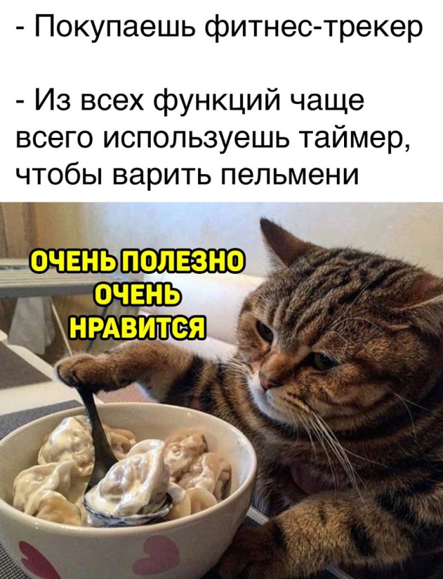 !    (24 )