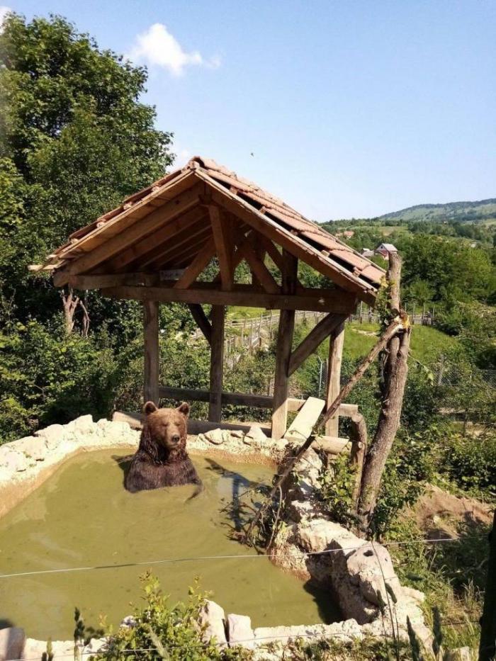 Свежие приколы за выходные (30 фото)