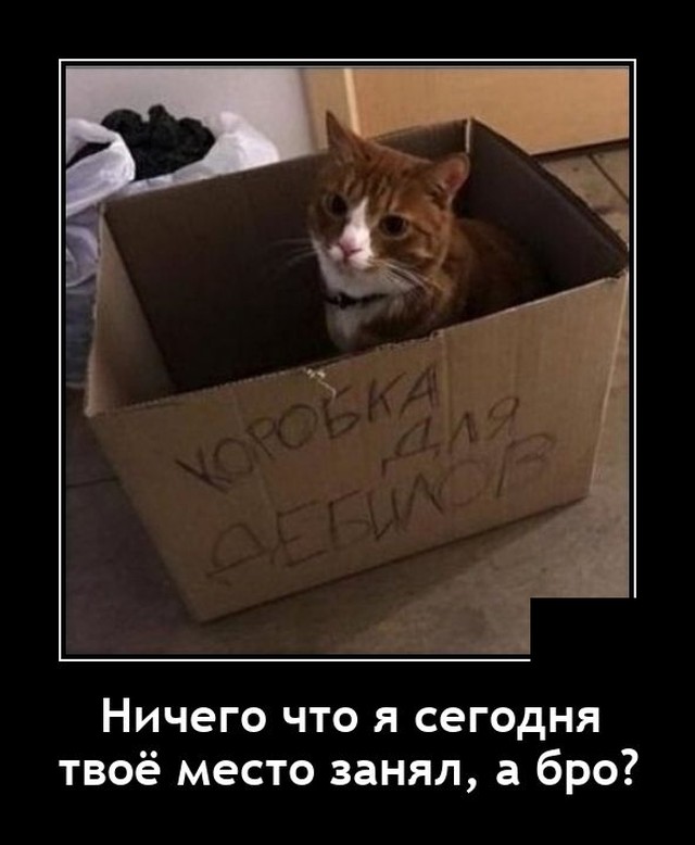 Демотиваторы вторника (20 фото)