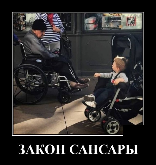 Демотиваторы вторника (20 фото)